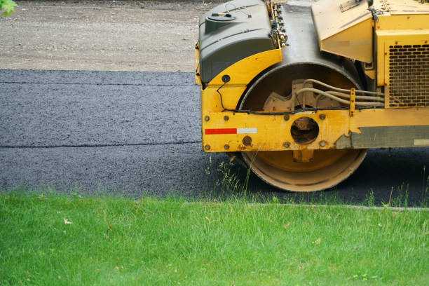 Best Driveway Paving Contractor  in Wink, TX